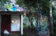 To prune the foundlings 2013, Installation View, paper, branches and acrylic, variable dimensions